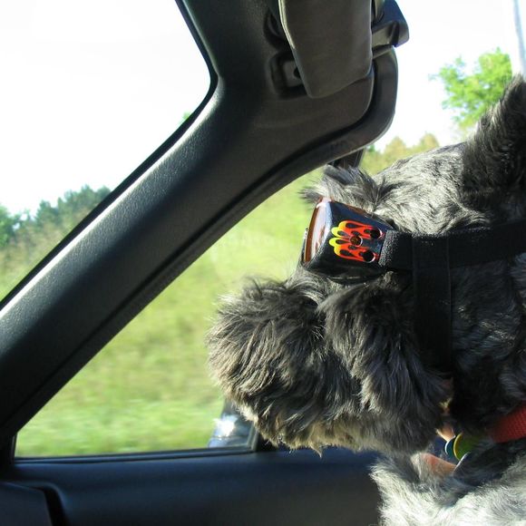 Meet your Posher, Lori - Picture 1 of 1